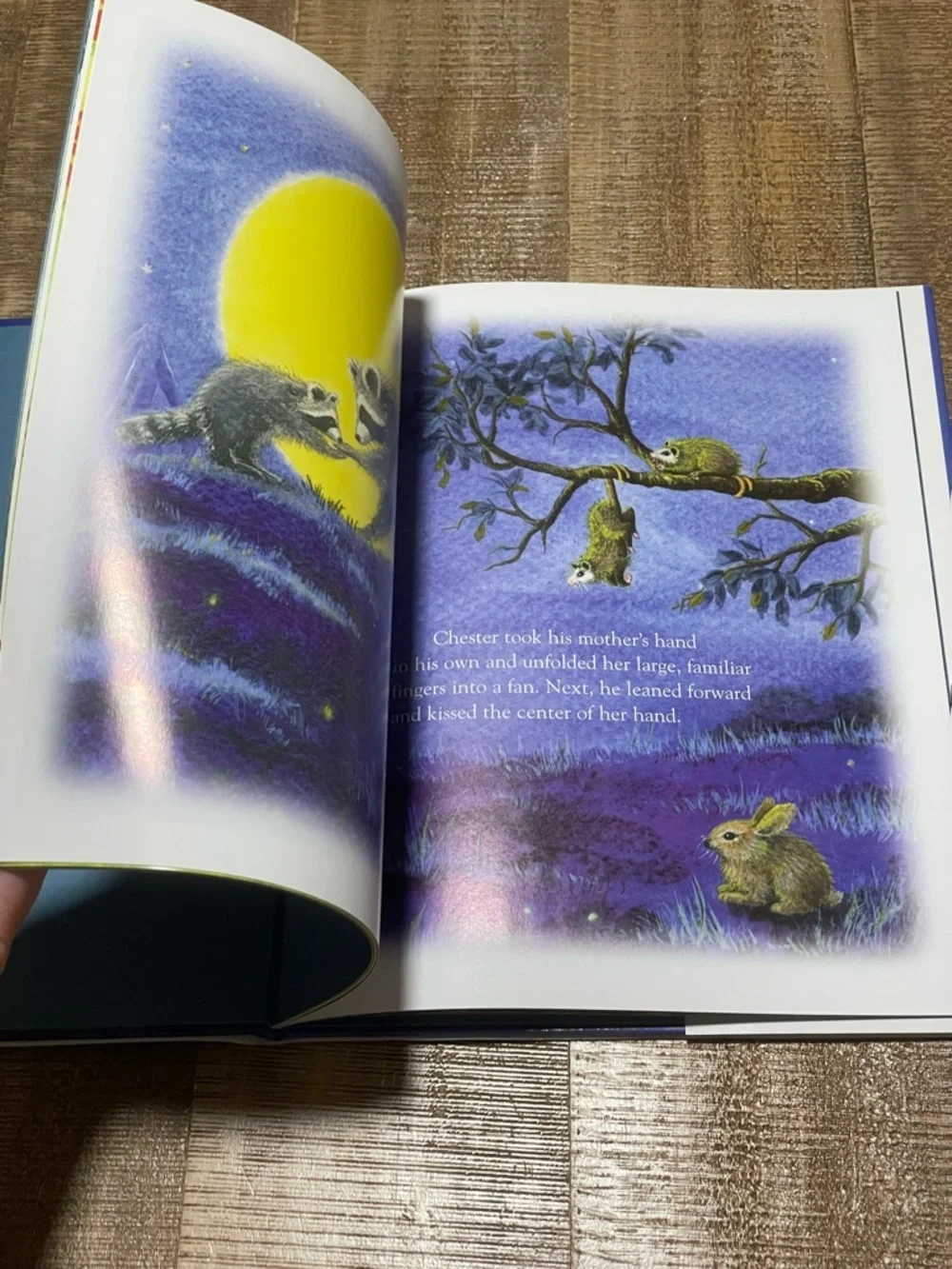 The Kissing Hand by Audrey Penn - Blue & Yellow Children's Book